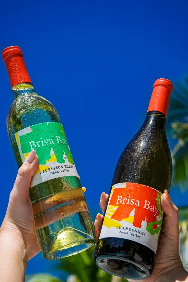 Chilled bottles of Brisa Bay held up against a blue sky