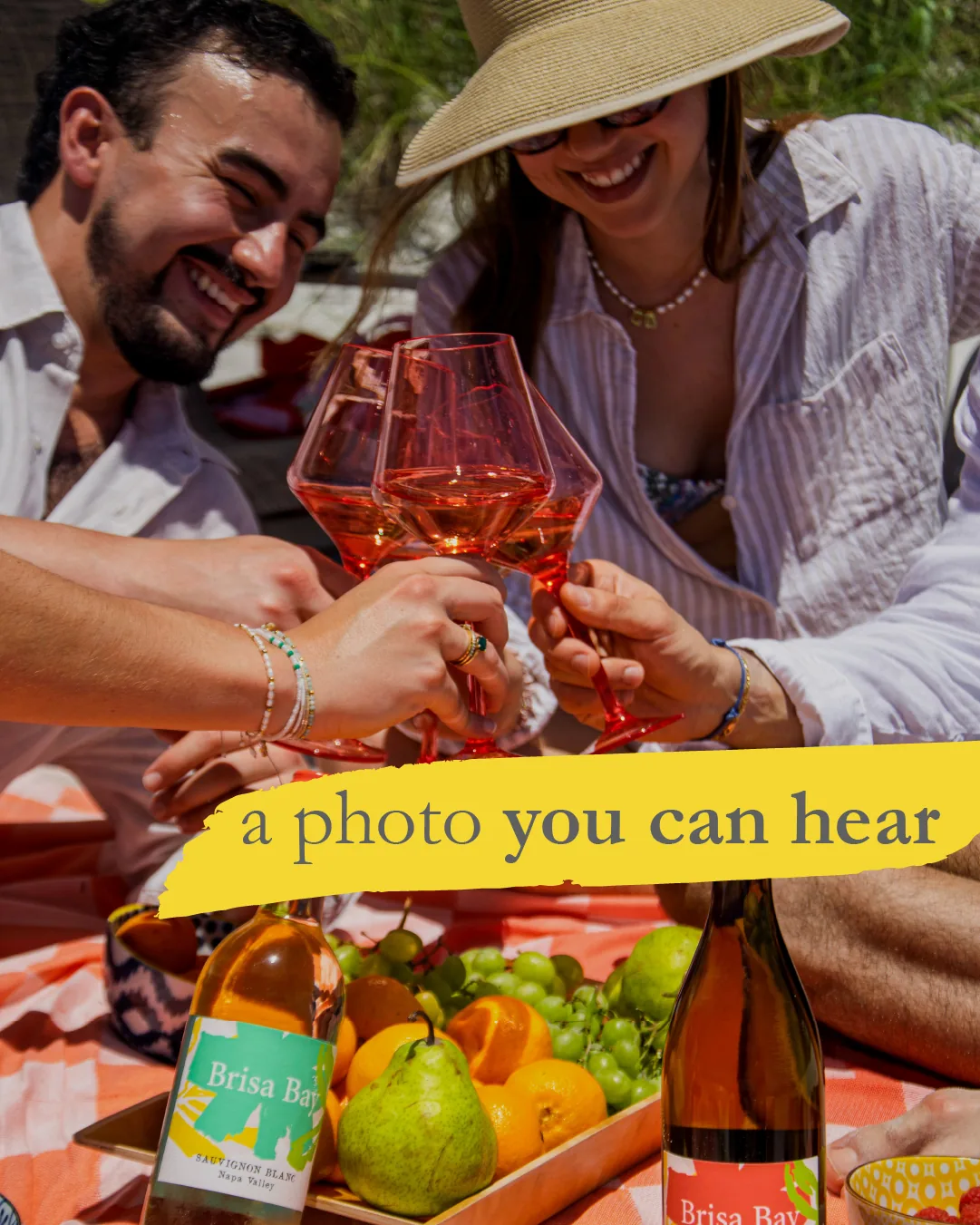 Friends toasting with Brisa Bay at a picnic